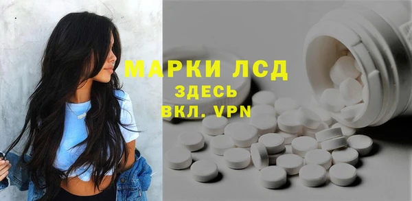 сатива Белокуриха