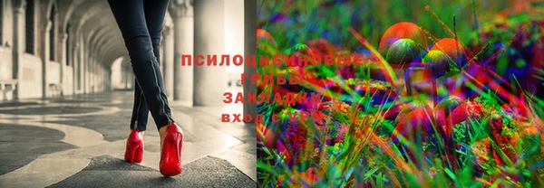 2c-b Белоозёрский