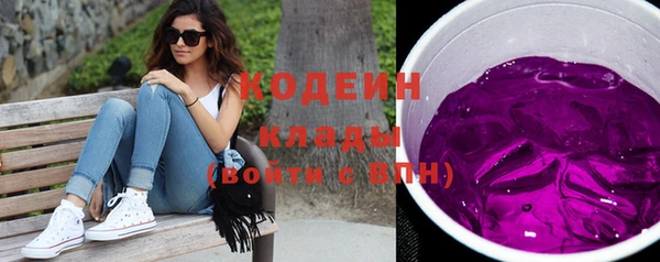 шишки Туринск