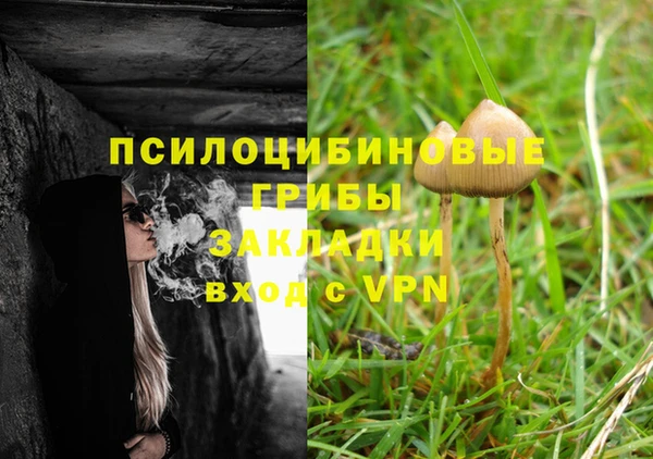 сатива Белокуриха