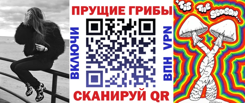 omg рабочий сайт  Когалым  Галлюциногенные грибы Psilocybe 